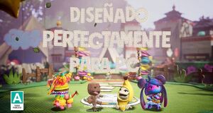 Vídeo Anuncio en PC
