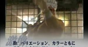 Vídeo (2)